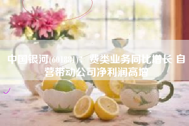 中国银河(601881)：费类业务同比增长 自营带动公司净利润高增