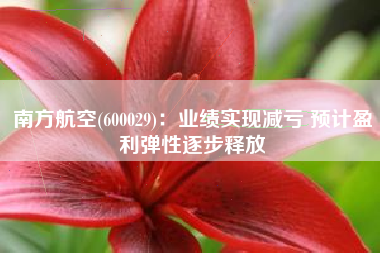 南方航空(600029)：业绩实现减亏 预计盈利弹性逐步释放
