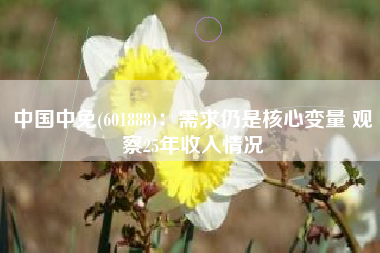 中国中免(601888)：需求仍是核心变量 观察25年收入情况