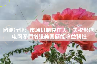 储能行业：市场机制存在大于关税影响 电网矛盾增强美国储能收益韧性