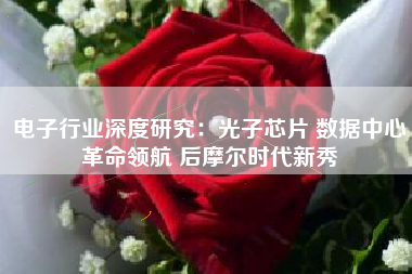 电子行业深度研究：光子芯片 数据中心革命领航 后摩尔时代新秀