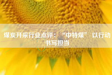 煤炭开采行业点评：“中特煤” 以行动书写担当