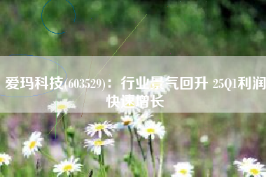 爱玛科技(603529)：行业景气回升 25Q1利润快速增长