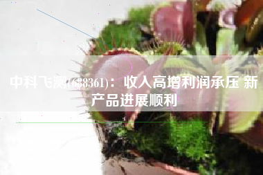 中科飞测(688361)：收入高增利润承压 新产品进展顺利