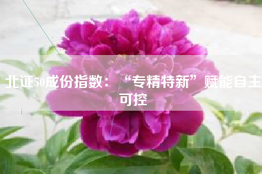 北证50成份指数：“专精特新”赋能自主可控