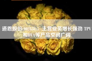 道恩股份(002838)：主营业务增长强劲 TPV和DVA等产品空间广阔