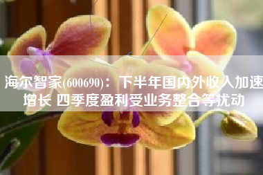 海尔智家(600690)：下半年国内外收入加速增长 四季度盈利受业务整合等扰动