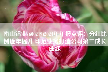 南山铝业(600219)2024年年报点评：分红比例逐年提升 印尼业务打造公司第二成长曲线