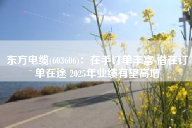 东方电缆(603606)：在手订单丰富 潜在订单在途 2025年业绩有望高增