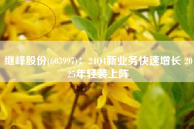继峰股份(603997)：24Q4新业务快速增长 2025年轻装上阵