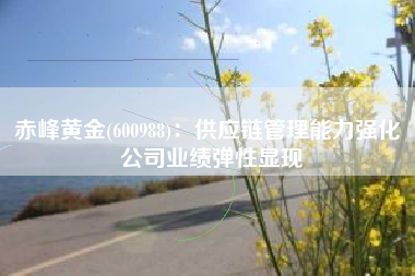 赤峰黄金(600988)：供应链管理能力强化 公司业绩弹性显现