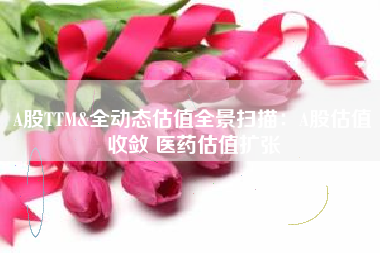 A股TTM&全动态估值全景扫描：A股估值收敛 医药估值扩张