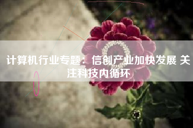 计算机行业专题：信创产业加快发展 关注科技内循环