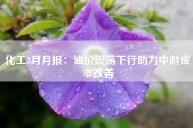 化工3月月报：油价震荡下行助力中游成本改善