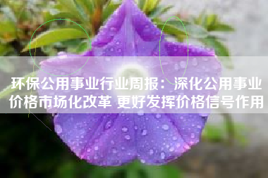 环保公用事业行业周报：深化公用事业价格市场化改革 更好发挥价格信号作用