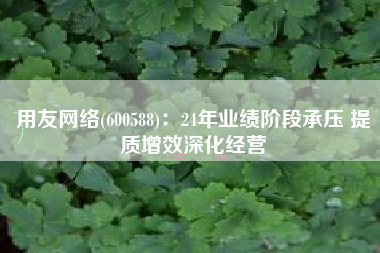 用友网络(600588)：24年业绩阶段承压 提质增效深化经营