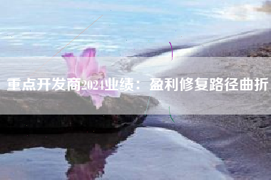 重点开发商2024业绩：盈利修复路径曲折
