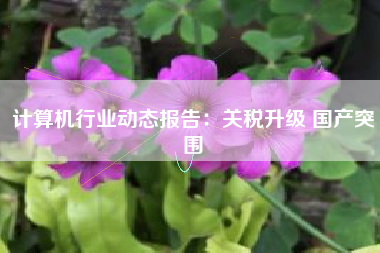 计算机行业动态报告：关税升级 国产突围