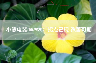 小熊电器(002959)：拐点已现 改善可期