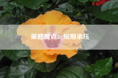 策略观点：短期承压