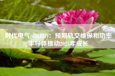 时代电气(688187)：预期轨交维保和功率半导体推动2025年成长