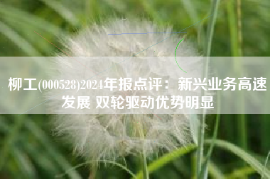 柳工(000528)2024年报点评：新兴业务高速发展 双轮驱动优势明显