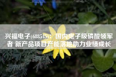 兴福电子(688545)：国内电子级磷酸领军者 新产品项目产能落地助力业绩成长
