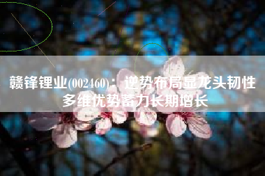 赣锋锂业(002460)：逆势布局显龙头韧性 多维优势蓄力长期增长