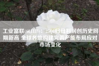 工业富联(601138)：25Q1归母利润创历史同期新高 全球各地构建完善产能布局应对市场变化