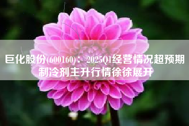 巨化股份(600160)：2025Q1经营情况超预期 制冷剂主升行情徐徐展开