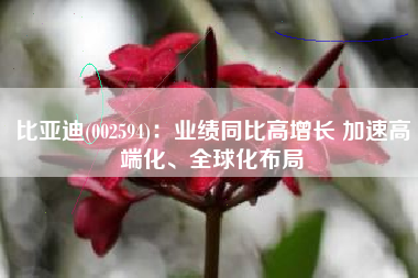 比亚迪(002594)：业绩同比高增长 加速高端化、全球化布局