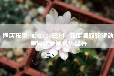 横店东磁(002056)：磁材+新能源双轮驱动 差异化竞争优势显著
