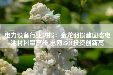 电力设备行业周报：金龙羽投建固态电池材料量产线 电网25Q1投资创新高