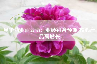 恩华药业(002262)：业绩符合预期 核心产品高增长