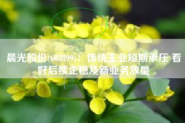 晨光股份(603899)：传统主业短期承压 看好后续企稳及新业务放量