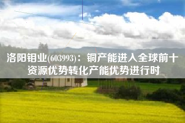 洛阳钼业(603993)：铜产能进入全球前十 资源优势转化产能优势进行时