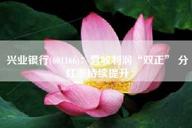 兴业银行(601166)：营收利润“双正” 分红率持续提升