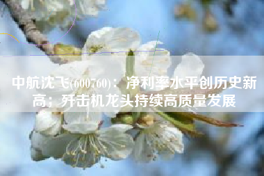 中航沈飞(600760)：净利率水平创历史新高；歼击机龙头持续高质量发展