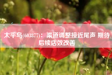 太平鸟(603877)：渠道调整接近尾声 期待后续店效改善