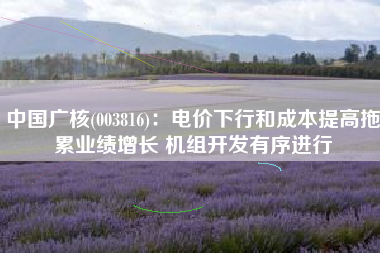 中国广核(003816)：电价下行和成本提高拖累业绩增长 机组开发有序进行