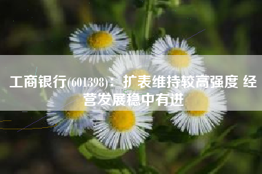 工商银行(601398)：扩表维持较高强度 经营发展稳中有进