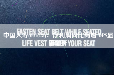 中国人寿(601628)：净利润同比高增 DPS显著增长
