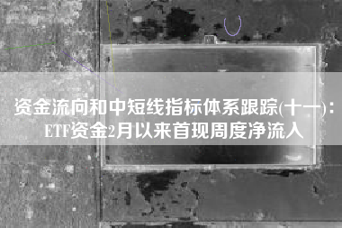 资金流向和中短线指标体系跟踪(十一)：ETF资金2月以来首现周度净流入