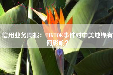 信用业务周报：TIKTOK事件对中美地缘有何影响？