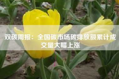 双碳周报：全国碳市场碳排放额累计成交量大幅上涨