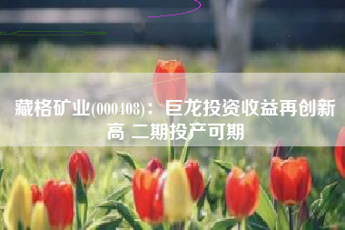 藏格矿业(000408)：巨龙投资收益再创新高 二期投产可期