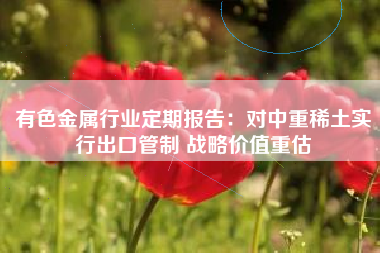 有色金属行业定期报告：对中重稀土实行出口管制 战略价值重估