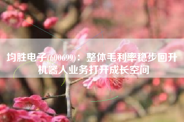 均胜电子(600699)：整体毛利率稳步回升 机器人业务打开成长空间