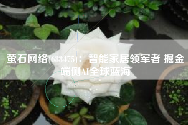 萤石网络(688475)：智能家居领军者 掘金端侧AI全球蓝海