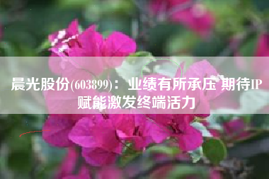 晨光股份(603899)：业绩有所承压 期待IP赋能激发终端活力